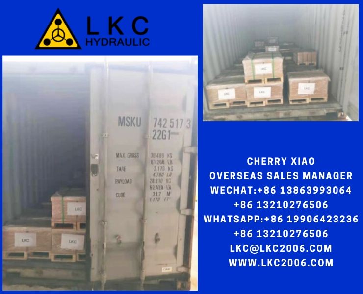 Our customer ordered a container of hydraulic motors/final drives from LKC Hydraulic.